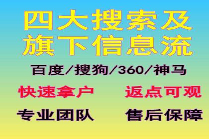 托管竞价sem案例分享：某电商平台的成功之路